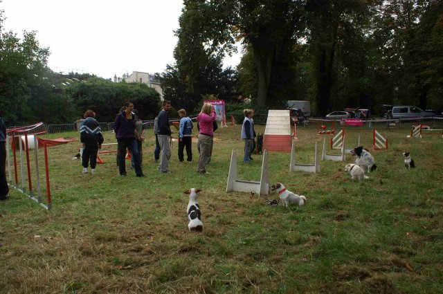 foire-haricots 2011-09-17et18